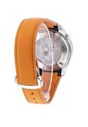 OMEGA Seamaster