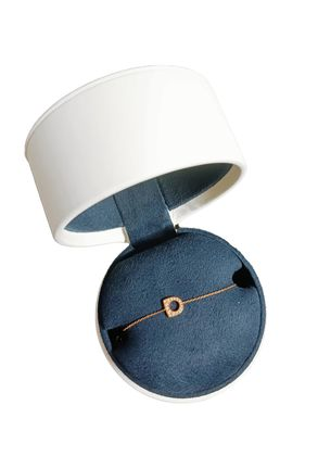 FRED Success Mini Etrier