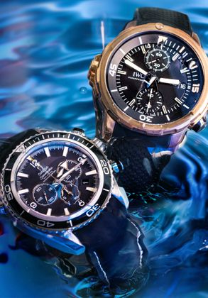 IWC Aquatimer Chronographe Charles Darwin